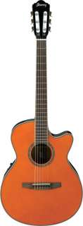 Ibanez AEG10NE AEG Series Nylon String Acoustic Electric Guitar 