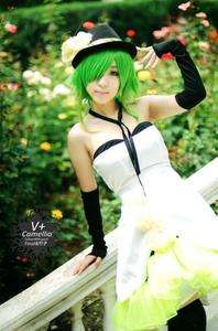 Vocaloid camellia Gumi dress Cosplay Costume +glove+hat Anime  