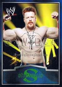 2012 WWE Dog Tags   Ringside Relic Edition   topps   1 24   complete 