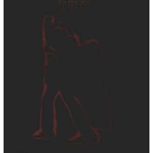 Electric Warrior [Vinyl LP]: T.Rex: .de: Musik