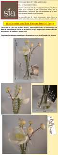 SIA Home Fashion Vaso vetro con fiore bianco + frutti bosco in acqua 