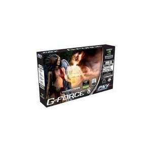  PNY GeForce 8400GS Graphics Card Electronics