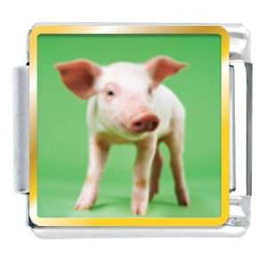  Animal Photo Pig Italian Charms Bracelet Link Pugster 