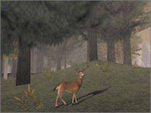 Deer Hunter 5 Tracking Trophies PC CD animal buck woods hunt gun 