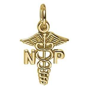   Rembrandt Charms Nurse Practitioner Charm, Gold Plated Silver: Jewelry