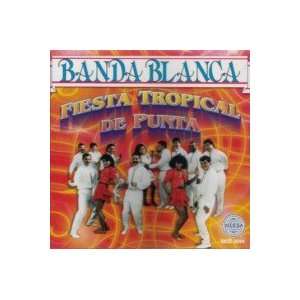  Fiesta Tropical De Punta Music