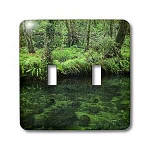 VWPics Spanish Nature   Deciduous forest and river.   Light Switch 