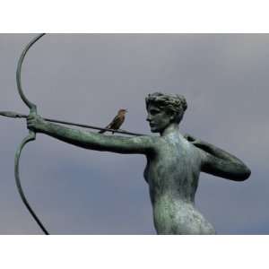 Mockingbird Atop a Bronze Sculpture of Diana by Augustus Saint Gaudens 
