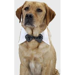  Dog Tuxedo Bow Tie Fancy Dog Collar Medium