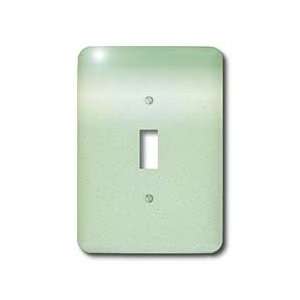 Patricia Sanders Creations   Green and White Mint Color   Light Switch 