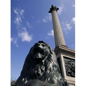  Lion Statue Below Nelsons Column, Trafalgar Square 