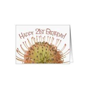  pincushion flower   Happy 21st Birthday Card: Toys & Games