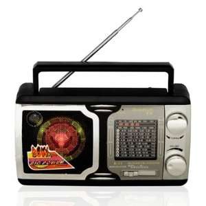  Quantum FX AM/FM TV/SW1 SW9 Radio Electronics