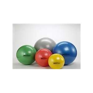  Thera Band Pro Series SCP Exercise Ball: Sports & Outdoors
